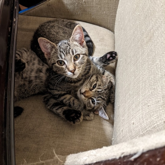 NOT FOR SALE - Picture 11 of 12